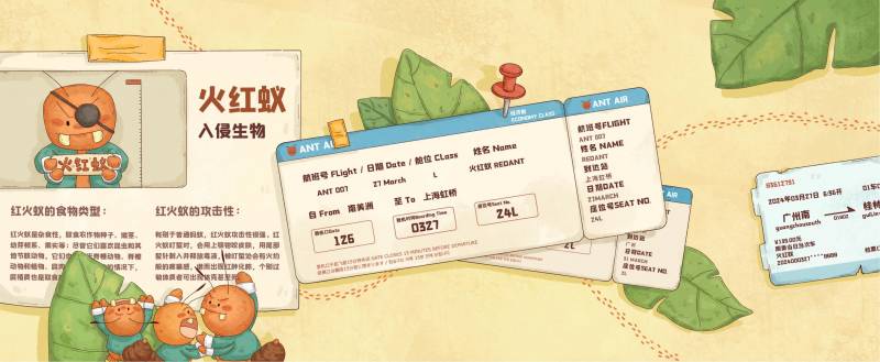 红火蚁 Red fire ants